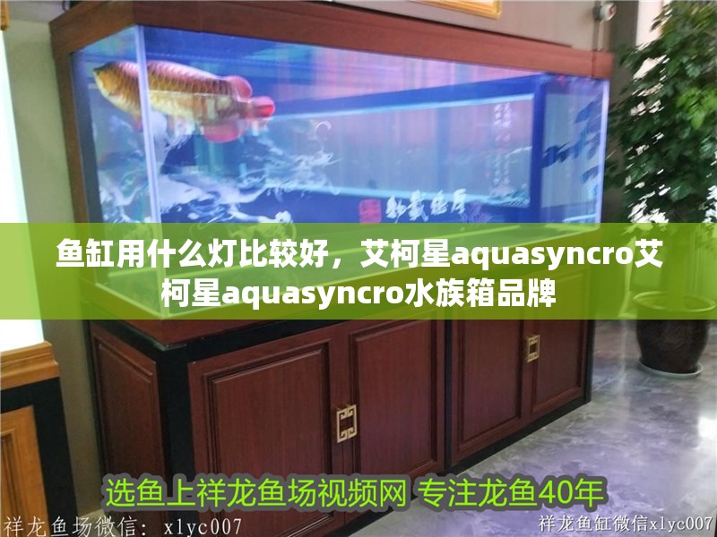 魚缸用什么燈比較好，艾柯星aquasyncro艾柯星aquasyncro水族箱品牌