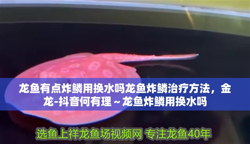 龍魚有點炸鱗用換水嗎龍魚炸鱗治療方法，金龍-抖音何有理～龍魚炸鱗用換水嗎