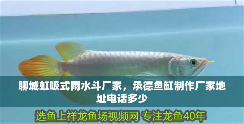 聊城虹吸式雨水斗廠家，<strong><mark>承德</mark></strong>魚缸制作廠家地址電話多少