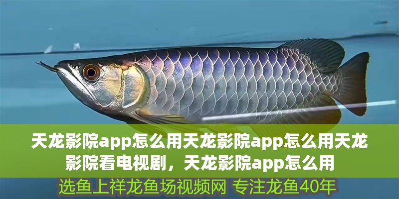 天龍影院app怎么用天龍影院app怎么用天龍影院看電視劇，天龍影院app怎么用