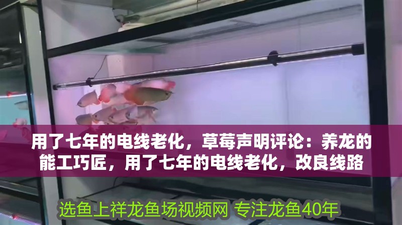 用了七年的電線老化，草莓聲明評論：養龍的能工巧匠，用了七年的電線老化，改良線路
