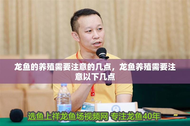 龍魚的養殖需要注意的幾點，龍魚養殖需要注意以下幾點