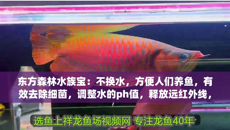 東方森林水族寶：不換水，方便人們養魚，有效去除細菌，調整水的ph值，釋放遠紅外線，東方森林水族寶可以不換水，6個月沒換水