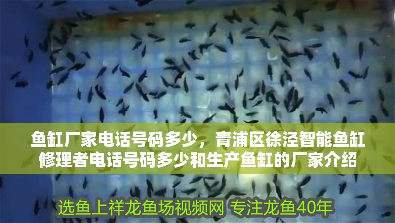 魚缸廠家電話號碼多少，青浦區徐涇智能魚缸修理者電話號碼多少和生產魚缸的廠家介紹 魚缸廠家電話號碼多少，青浦區徐涇智能魚缸修理者電話號碼多少和生產魚缸的廠家介紹 觀賞魚百科 第2張