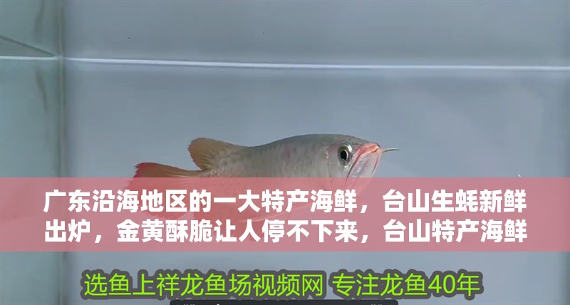 廣東沿海地區的一大特產海鮮，臺山生蠔新鮮出爐，金黃酥脆讓人停不下來，臺山特產海鮮有哪些？