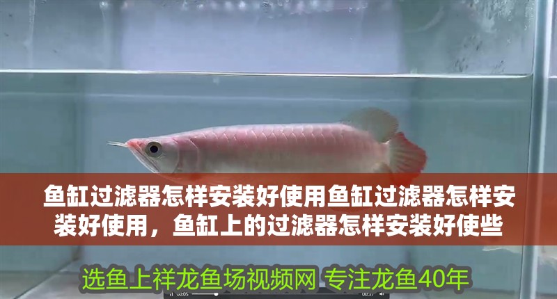 魚(yú)缸過(guò)濾器怎樣安裝好使用魚(yú)缸過(guò)濾器怎樣安裝好使用，魚(yú)缸上的過(guò)濾器怎樣安裝好使些