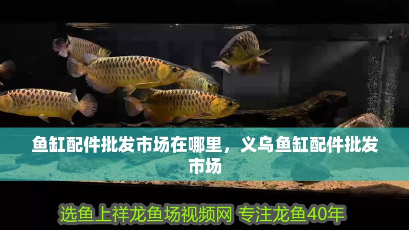 魚缸配件批發(fā)市場在哪里，義烏魚缸配件批發(fā)市場 魚缸配件批發(fā)市場在哪里，義烏魚缸配件批發(fā)市場 觀賞魚百科