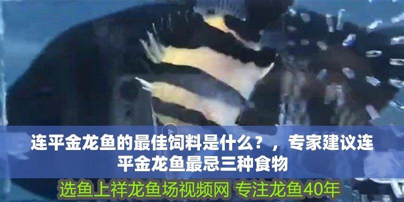 連平金龍魚的最佳飼料是什么？，專家建議連平金龍魚最忌三種食物