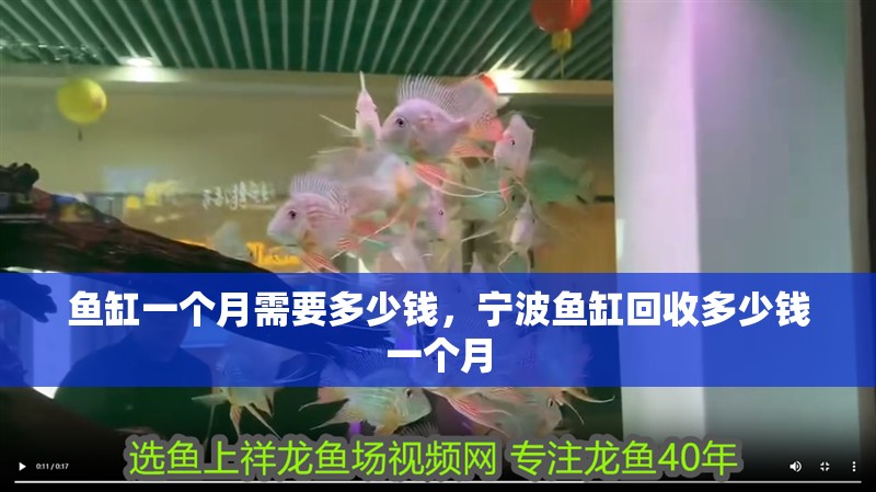 魚缸一個月需要多少錢，寧波魚缸回收多少錢一個月