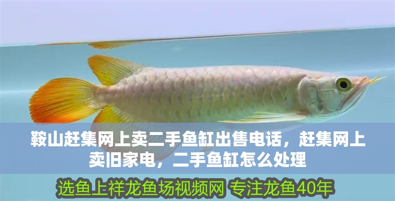 <strong><mark>鞍山</mark></strong>趕集網上賣二手魚缸出售電話，趕集網上賣舊家電，二手魚缸怎么處理