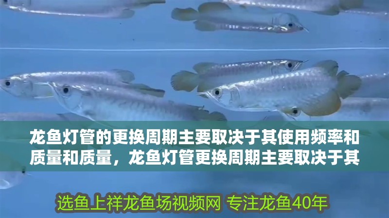 龍魚燈管的更換周期主要取決于其使用頻率和質量和質量，龍魚燈管更換周期主要取決于其使用頻率和質量和質量