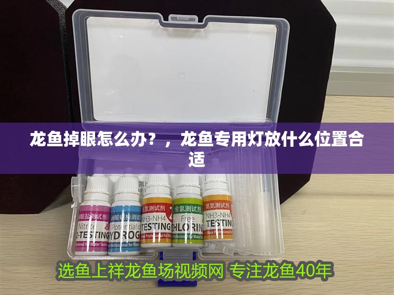 龍魚掉眼怎么辦？，龍魚專用燈放什么位置合適