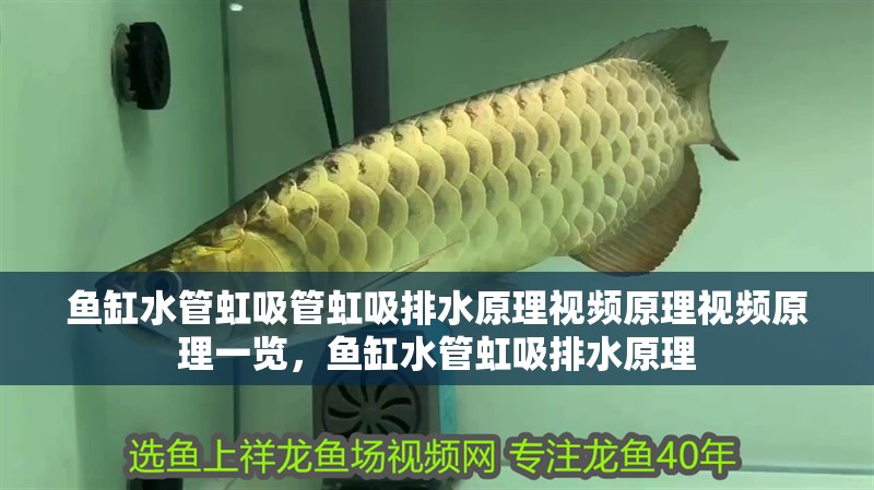 魚缸用增氧泵價格是多少:魚缸增氧機-xtrac增氧機-xtrac增氧機 魚缸水管虹吸管虹吸排水原理視頻原理視頻原理一覽,魚缸水管虹吸排水原理 觀賞魚百科 魚缸水管虹吸管虹吸排水原理視頻原理視頻原理一覽,魚缸水管虹吸排水原理 魚缸水管虹吸管虹吸排水原理視頻原理視頻原理一覽,魚缸水管虹吸排水原理 觀賞魚百科