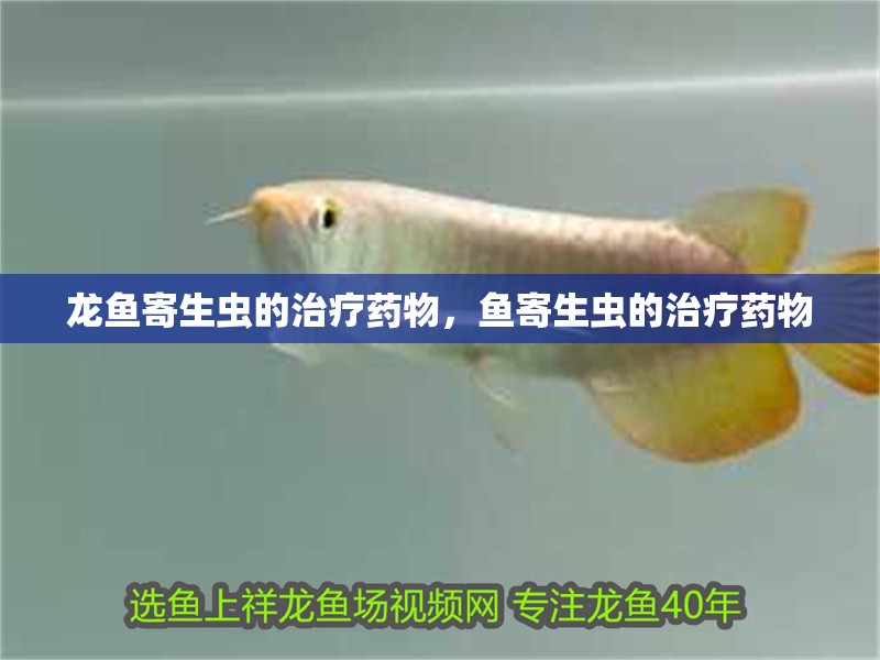龍魚寄生蟲的治療藥物，魚寄生蟲的治療藥物