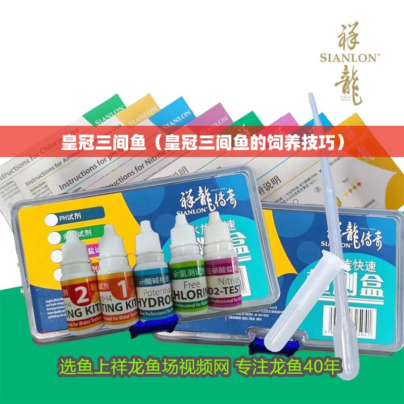 皇冠三間魚（皇冠三間魚的飼養(yǎng)技巧）
