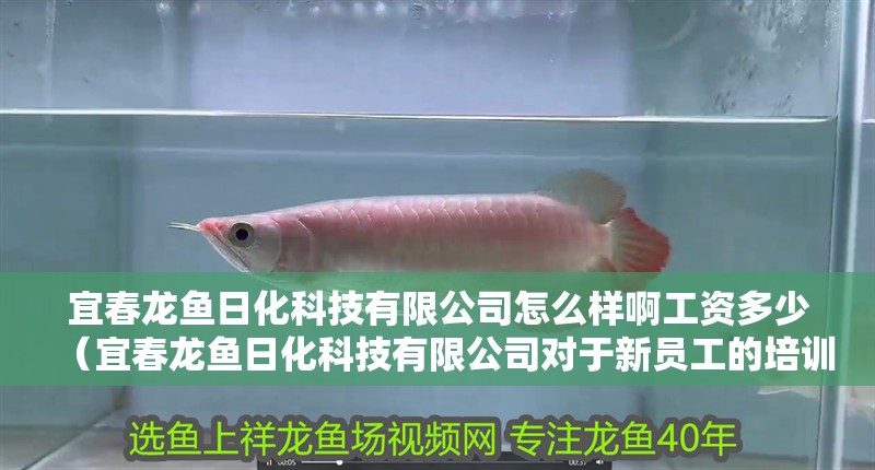 宜春龍魚日化科技有限公司怎么樣啊工資多少（宜春龍魚日化科技有限公司對于新員工的培訓體系完善嗎）