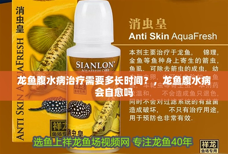 龍魚腹水病治療需要多長時間？，龍魚腹水病會自愈嗎
