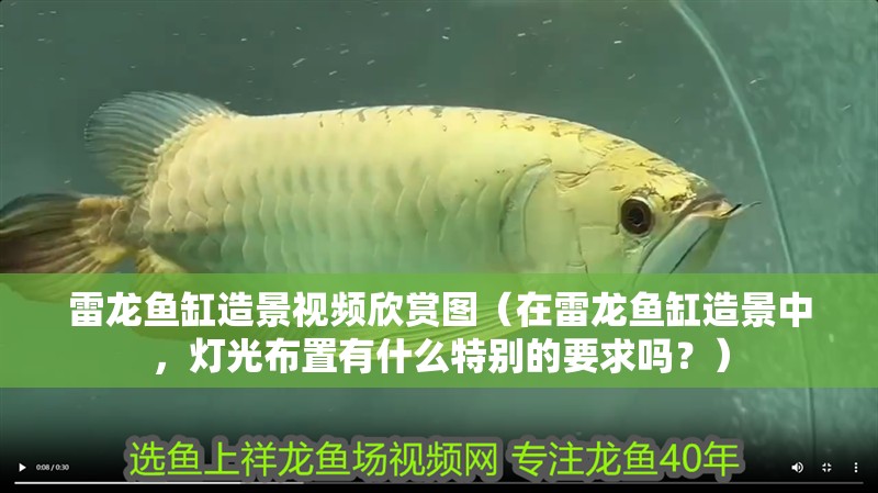 雷龍魚缸造景視頻欣賞圖（在雷龍魚缸造景中，燈光布置有什么特別的要求嗎？） 雷龍魚缸造景視頻欣賞圖（在雷龍魚缸造景中，燈光布置有什么特別的要求嗎？） 觀賞魚百科 第2張