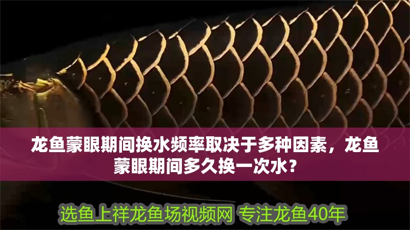 龍魚蒙眼期間換水頻率取決于多種因素，龍魚蒙眼期間多久換一次水？