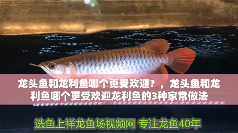 龍頭魚和龍利魚哪個更受歡迎？，龍頭魚和龍利魚哪個更受歡迎龍利魚的3種家常做法
