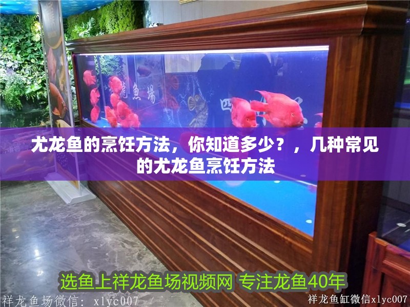 尤龍魚的烹飪方法，你知道多少？，幾種常見的尤龍魚烹飪方法