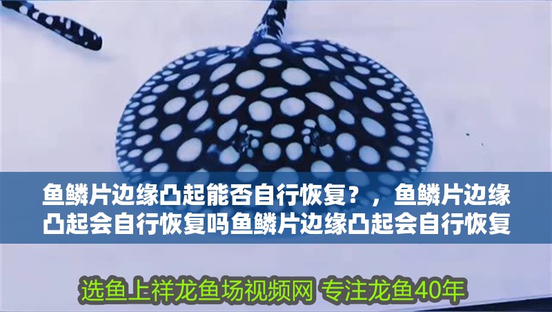 魚鱗片邊緣凸起能否自行恢復(fù)？，魚鱗片邊緣凸起會自行恢復(fù)嗎魚鱗片邊緣凸起會自行恢復(fù)嗎