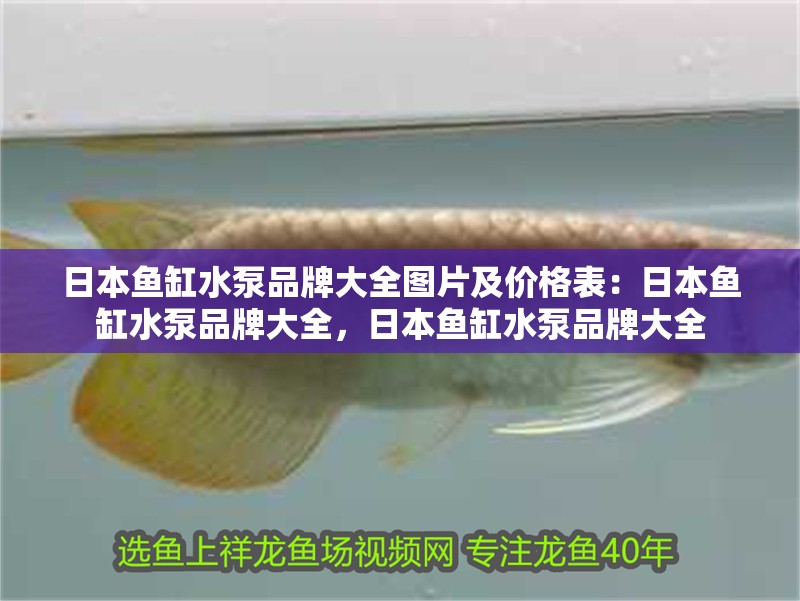 日本魚缸水泵品牌大全圖片及價格表：日本魚缸水泵品牌大全，日本魚缸水泵品牌大全