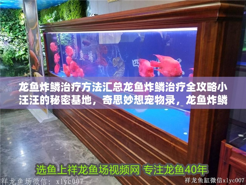 龍魚炸鱗治療方法匯總龍魚炸鱗治療全攻略小汪汪的秘密基地，奇思妙想寵物錄，龍魚炸鱗治療全攻略