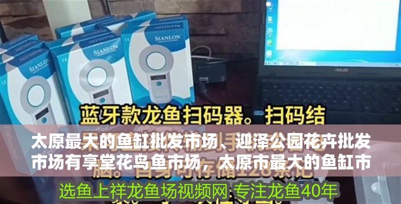 太原最大的魚(yú)缸批發(fā)市場(chǎng)、迎澤公園花卉批發(fā)市場(chǎng)有享堂花鳥(niǎo)魚(yú)市場(chǎng)，太原市最大的魚(yú)缸市場(chǎng)