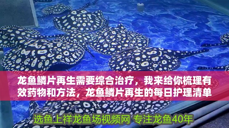 龍魚(yú)鱗片再生需要綜合治療，我來(lái)給你梳理有效藥物和方法，龍魚(yú)鱗片再生的每日護(hù)理清單