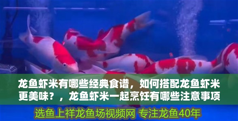 龍魚蝦米有哪些經典食譜，如何搭配龍魚蝦米更美味？，龍魚蝦米一起烹飪有哪些注意事項龍魚蝦米的黃金搭配速查表