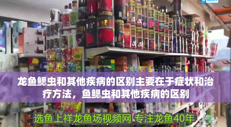 龍魚鰓蟲和其他疾病的區別主要在于癥狀和治療方法，魚鰓蟲和其他疾病的區別