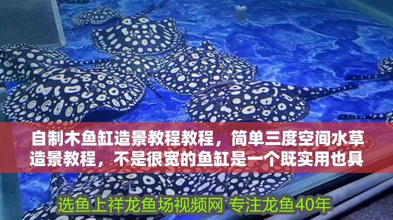 自制木魚缸造景教程教程，簡單三度空間水草造景教程，不是很寬的魚缸是一個既實用也具有創意的項目