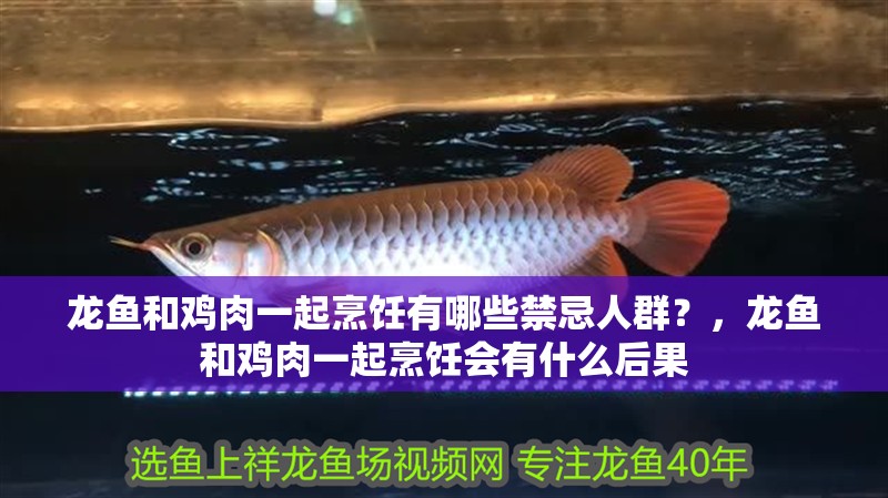 龍魚和雞肉一起烹飪有哪些禁忌人群？，龍魚和雞肉一起烹飪會有什么后果