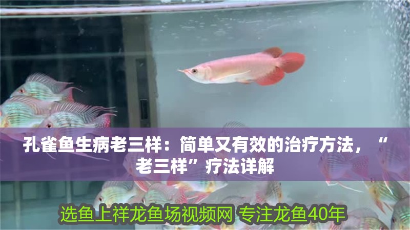 孔雀魚生病老三樣：簡單又有效的治療方法，“老三樣”療法詳解