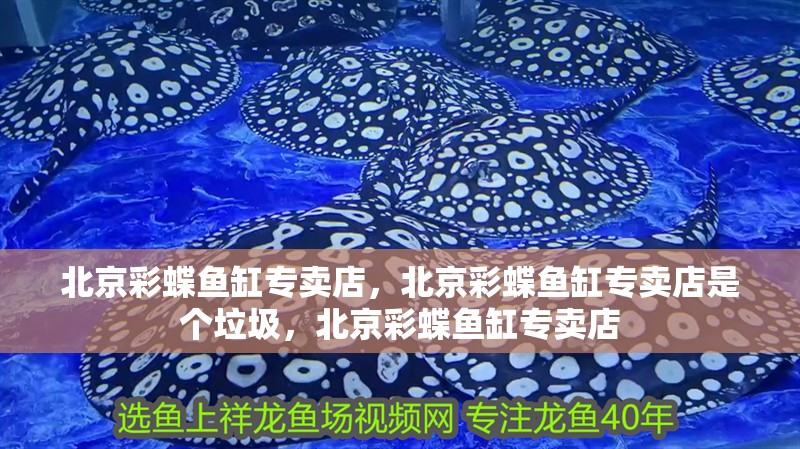 北京彩蝶魚缸專賣店，北京彩蝶魚缸專賣店是個垃圾，北京彩蝶魚缸專賣店