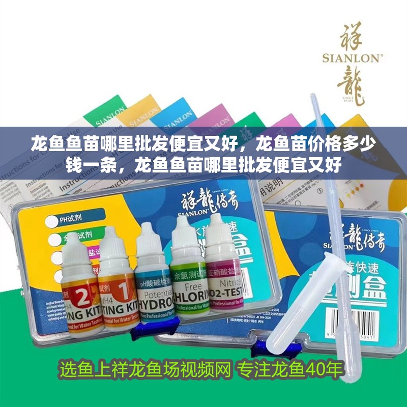 龍魚魚苗哪里批發(fā)便宜又好，龍魚苗價(jià)格多少錢一條，龍魚魚苗哪里批發(fā)便宜又好