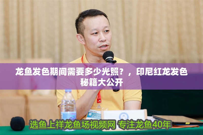 龍魚發(fā)色期間需要多少光照？，印尼紅龍發(fā)色秘籍大公開