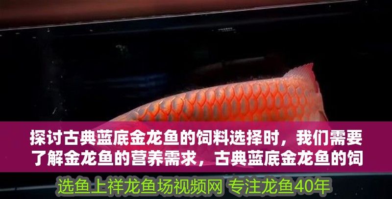 探討古典藍底金龍魚的飼料選擇時，我們需要了解金龍魚的營養(yǎng)需求，古典藍底金龍魚的飼料選擇