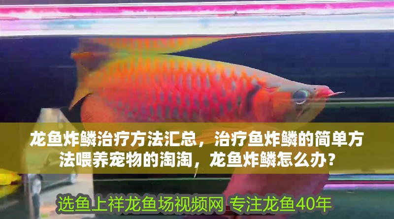 龍魚炸鱗治療方法匯總，治療魚炸鱗的簡單方法喂養寵物的淘淘，龍魚炸鱗怎么辦？