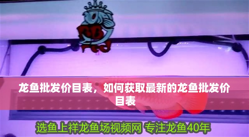 龍魚批發價目表，如何獲取最新的龍魚批發價目表