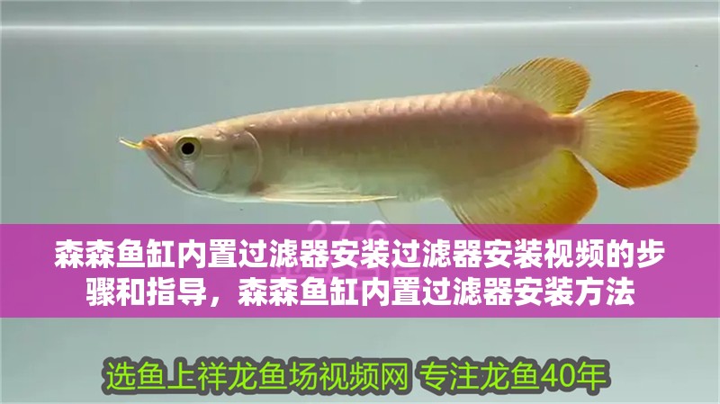 森森魚缸內(nèi)置過(guò)濾器安裝過(guò)濾器安裝視頻的步驟和指導(dǎo)，森森魚缸內(nèi)置過(guò)濾器安裝方法