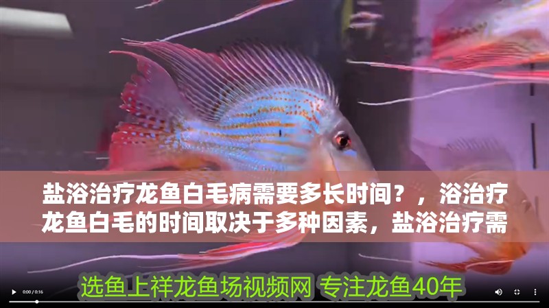 鹽浴治療龍魚白毛病需要多長(zhǎng)時(shí)間？，浴治療龍魚白毛的時(shí)間取決于多種因素，鹽浴治療需要注意的是