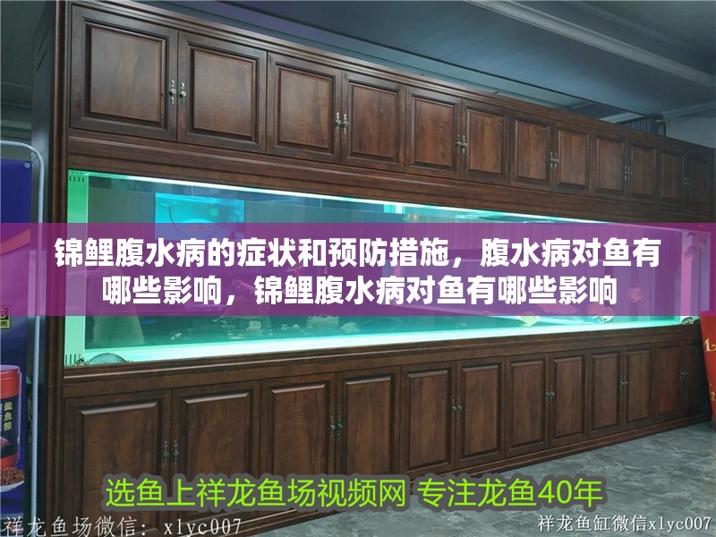 錦鯉腹水病的癥狀和預防措施，腹水病對魚有哪些影響，錦鯉腹水病對魚有哪些影響