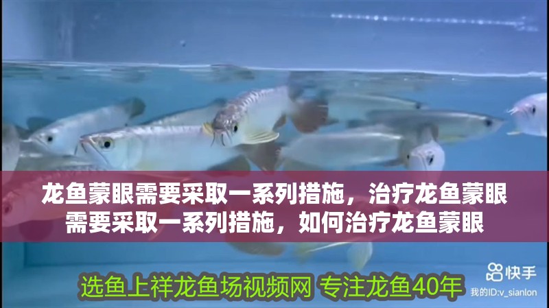龍魚蒙眼需要采取一系列措施，治療龍魚蒙眼需要采取一系列措施，如何治療龍魚蒙眼