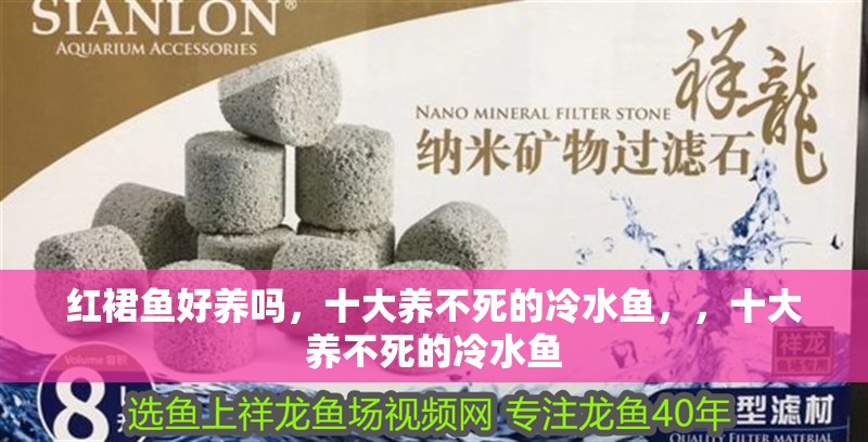 紅裙魚好養嗎，十大養不死的冷水魚，，十大養不死的冷水魚