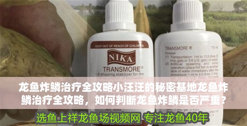 龍魚炸鱗治療全攻略小汪汪的秘密基地龍魚炸鱗治療全攻略，如何判斷龍魚炸鱗是否嚴重？ 龍魚炸鱗治療全攻略小汪汪的秘密基地龍魚炸鱗治療全攻略，如何判斷龍魚炸鱗是否嚴重？ 龍魚百科