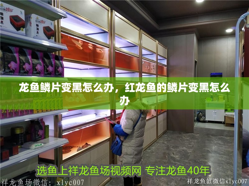 龍魚鱗片變黑怎么辦，紅龍魚的鱗片變黑怎么辦