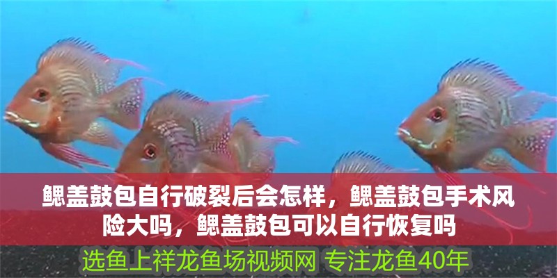 鰓蓋鼓包自行破裂后會怎樣，鰓蓋鼓包手術(shù)風險大嗎，鰓蓋鼓包可以自行恢復嗎