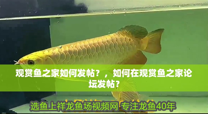 觀賞魚之家如何發帖？，如何在觀賞魚之家論壇發帖？